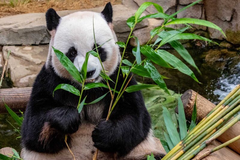 10 of the least visited countries you should travel.